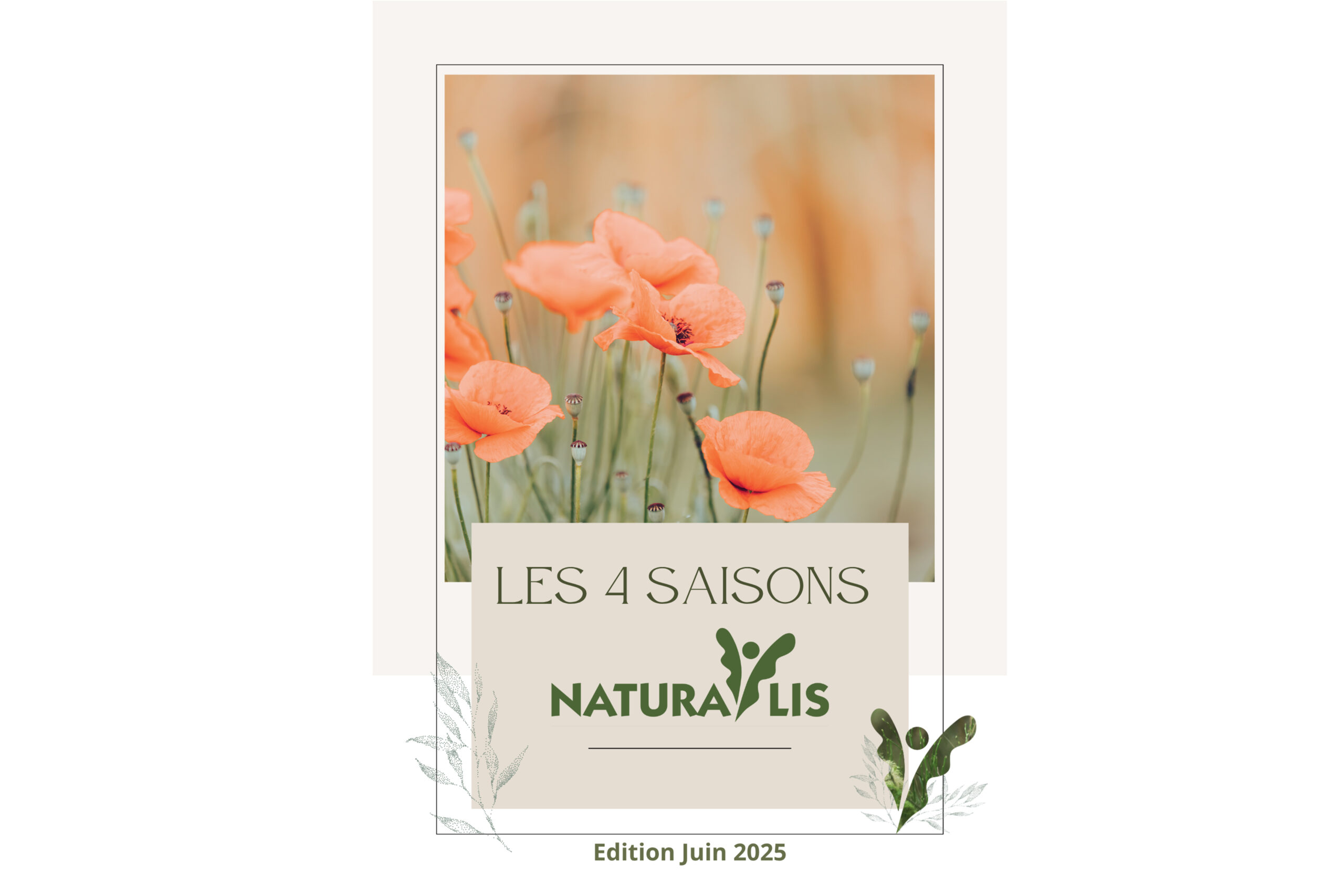 4 SAISONS