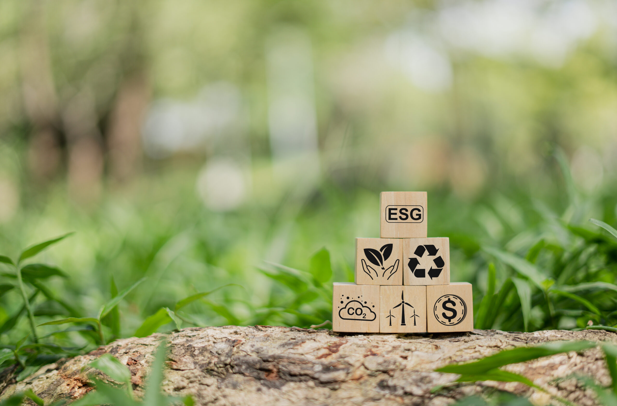ESG concept of environment society and governance, is an important social enterprise development care about future impacts, creating green space for the earth clean air for living organisms to growth.