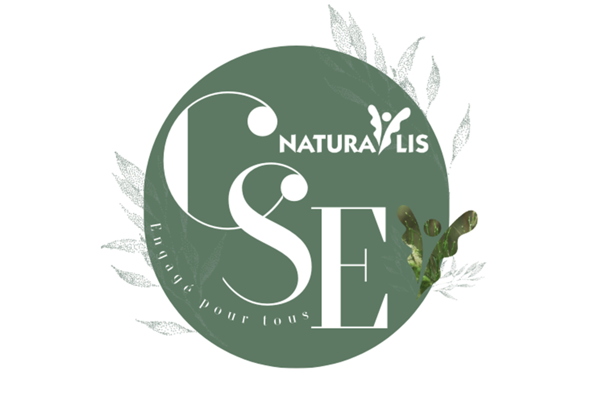 LOGO CSE RSE